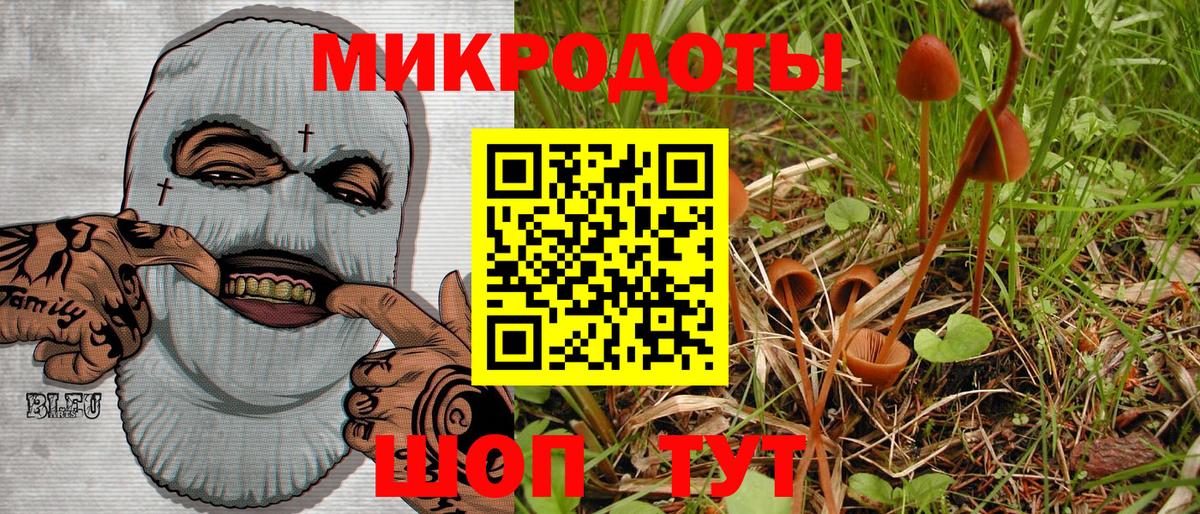 дарнет шоп  Вход с VPN  Воронеж  Галлюциногенные грибы ЛСД 